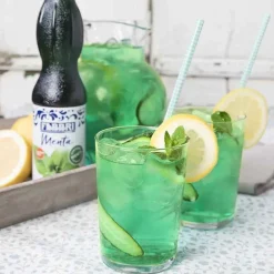 Mint Syrup 560Ml^FABBRI 1905 Discount