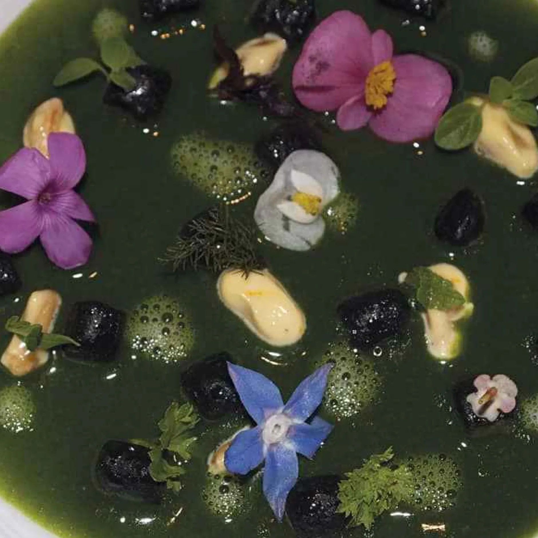 ISSIMO Eating At Hotel Il Pellicano