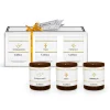 Set Of Three Scented Candles^LabSolue Discount