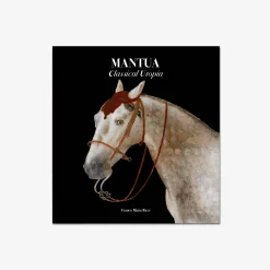 Mantua Classical Utopia^Franco Maria RIcci New