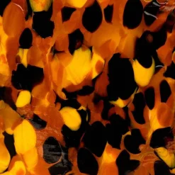 Leopardo Candle^Stories of Italy Discount